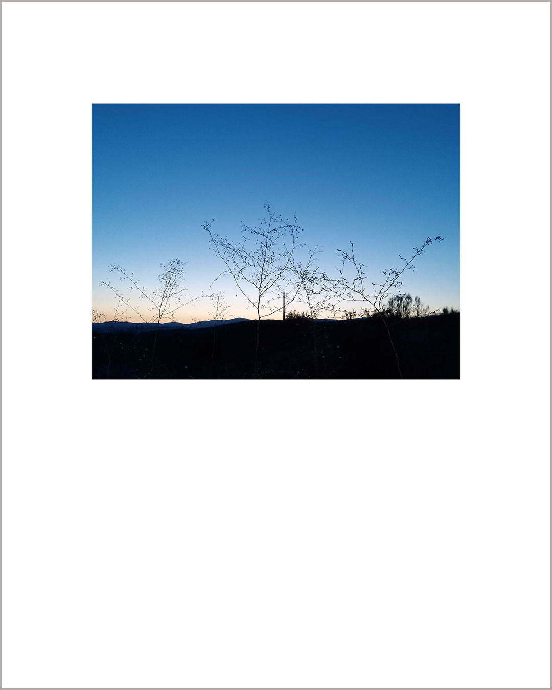 Fotografía horizontal de un atardecer, con el suelo negro donde destaca la silueta de unas hierbas, el cielo es de color azul.