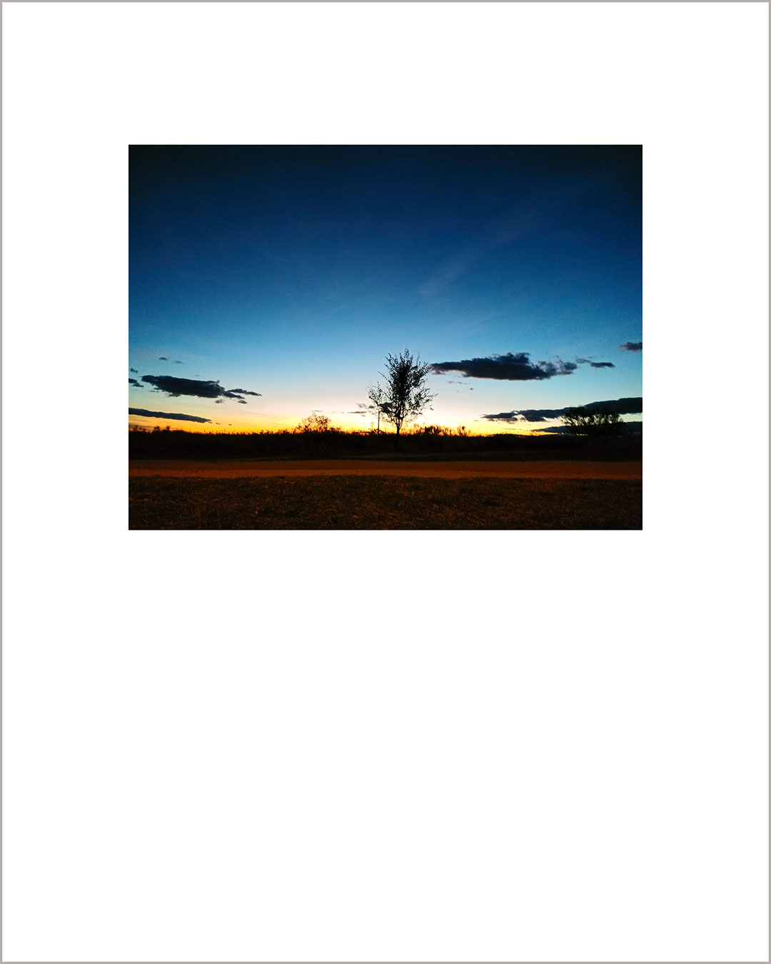 Fotografía horizontal de un atardecer, con el suelo negro y un camino rojizo, destaca la silueta de un pequeño árbol sobre un horizonte amarillo que va hacia el azul y con algunas nubes negras.