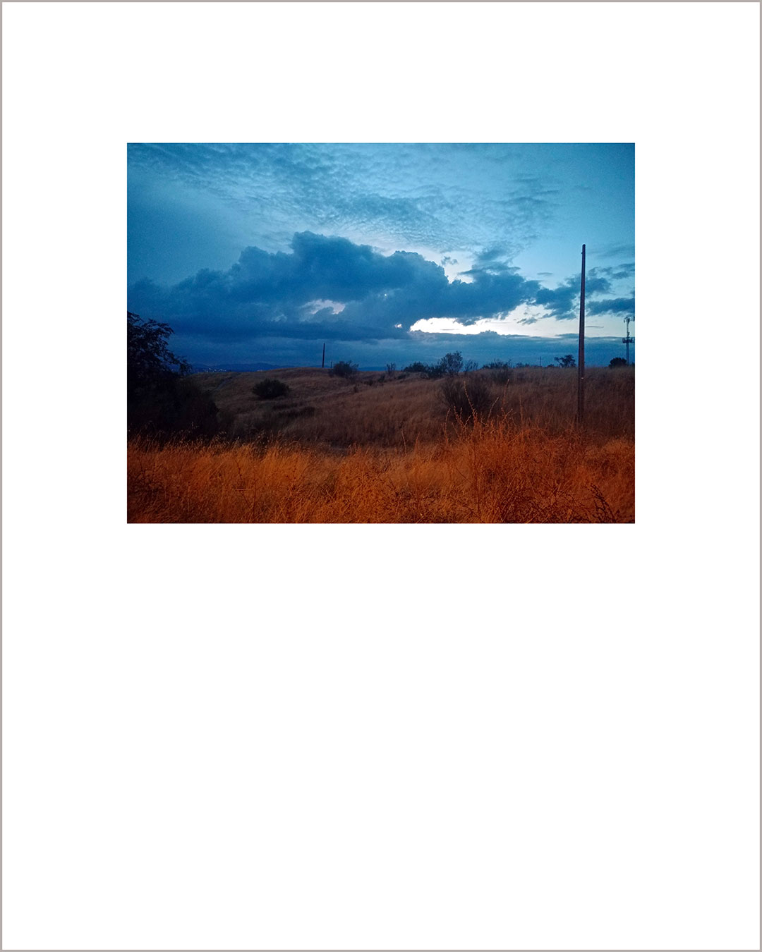 Fotografía horizontal de un atardecer, la mitad de abajo la ocupa la hierba seca y anaranjada, la mitad de arriba es un cielo con nubes azules.