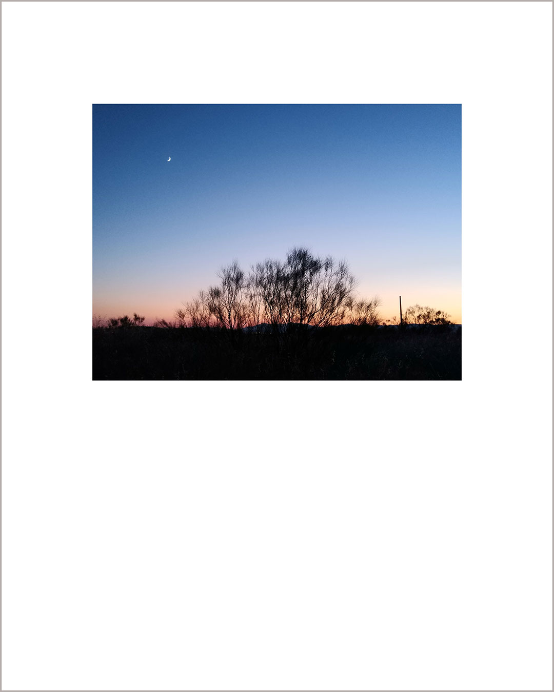 Fotografía horizontal de un atardecer, en el suelo se ve la silueta de una retama en negro, y en el cielo azul se ve la luna.