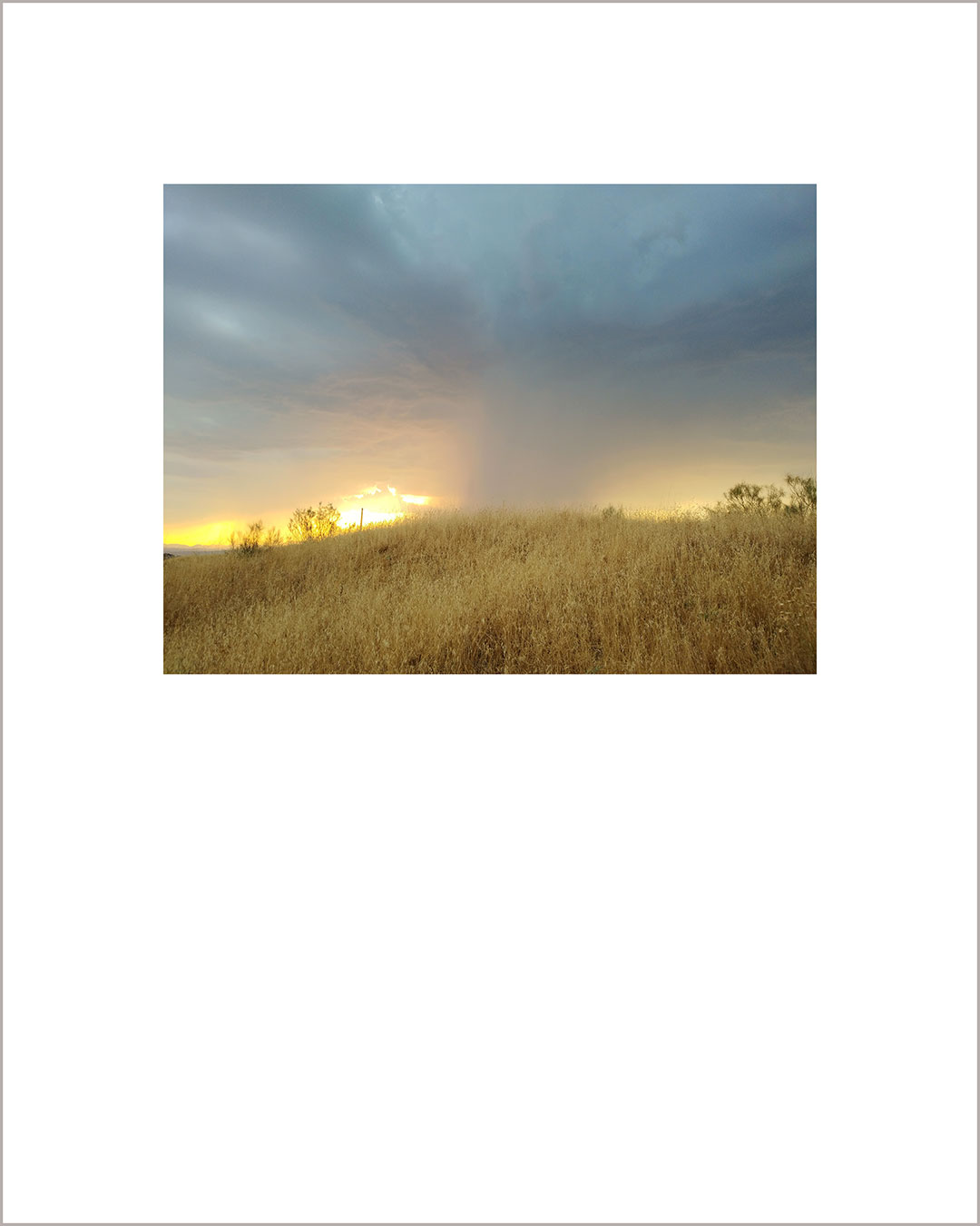 Fotografía horizontal de un atardecer, el suelo está cubierto de paja amarilla, en el horizonte una columna de nubes descarga una tormenta.