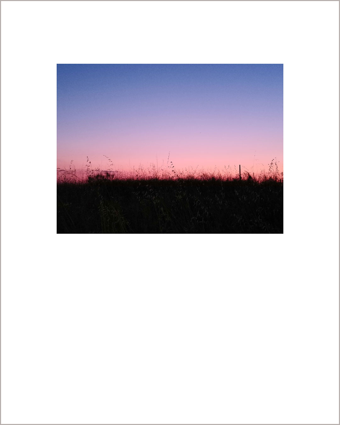Fotografía horizontal de un atardecer, con el suelo negro donde destaca la silueta de unas hierbas, el cielo hace un degradado del rosa al añil.