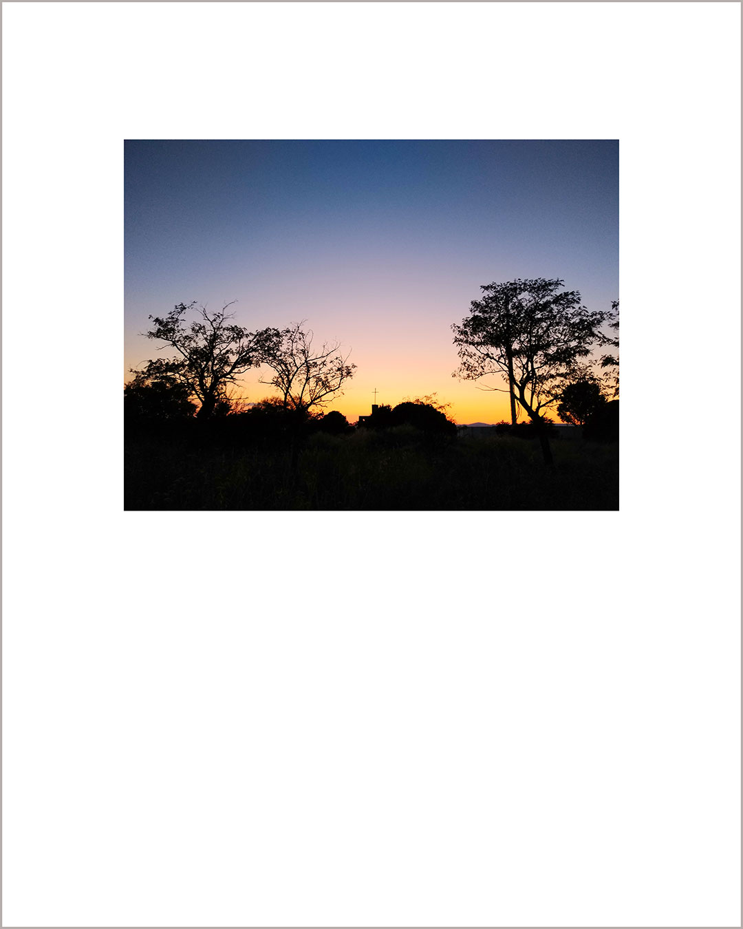Fotografía horizontal de un atardecer, con suelo y silueta de árboles negros sobre un cielo amarillo y violeta.