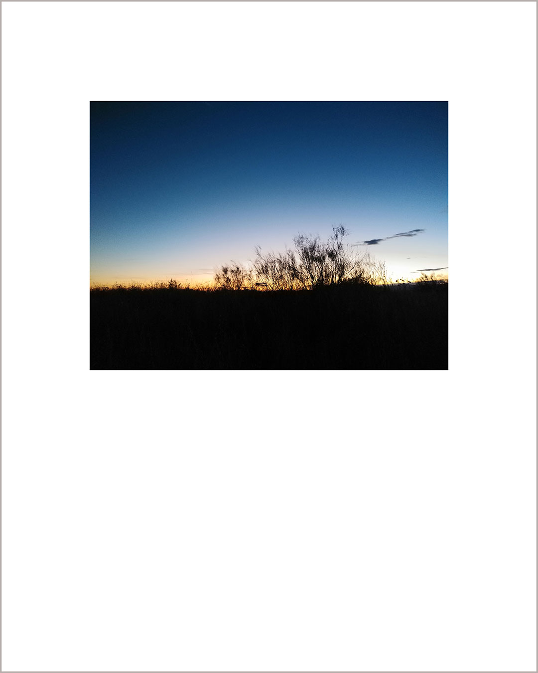 Fotografía horizontal de un atardecer, en el suelo negro destaca la silueta de una retama, el cielo va del amarillo al añil.