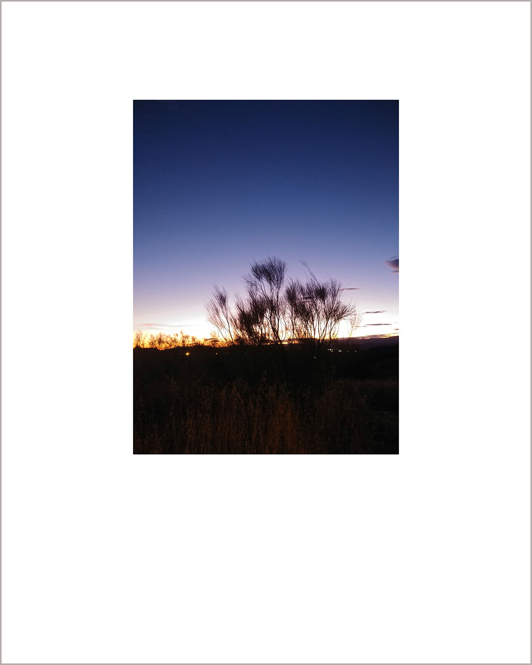 Fotografía vertical de un atardecer, en el suelo negro está la silueta de una retama, el cielo es amarillo y añil.