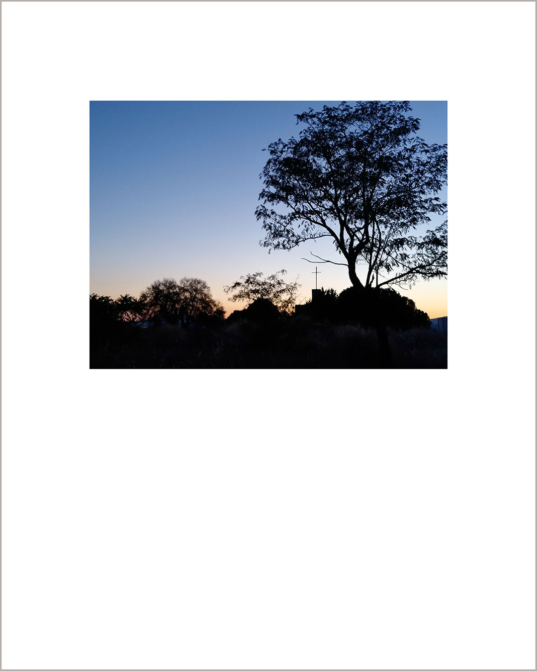 Fotografía horizontal de un atardecer, a la derecha se recorta en negro la silueta de un gran árbol y una cruz sobre el cielo azul.