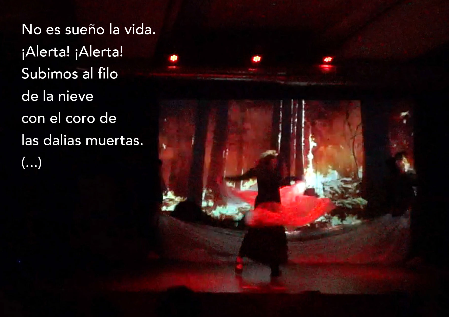 gea-galeria-13