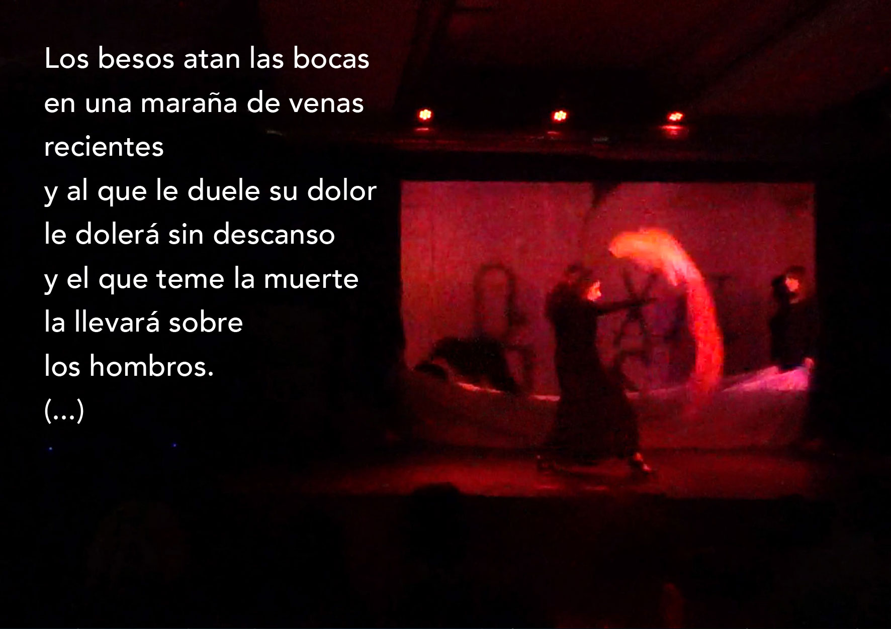 gea-galeria-14