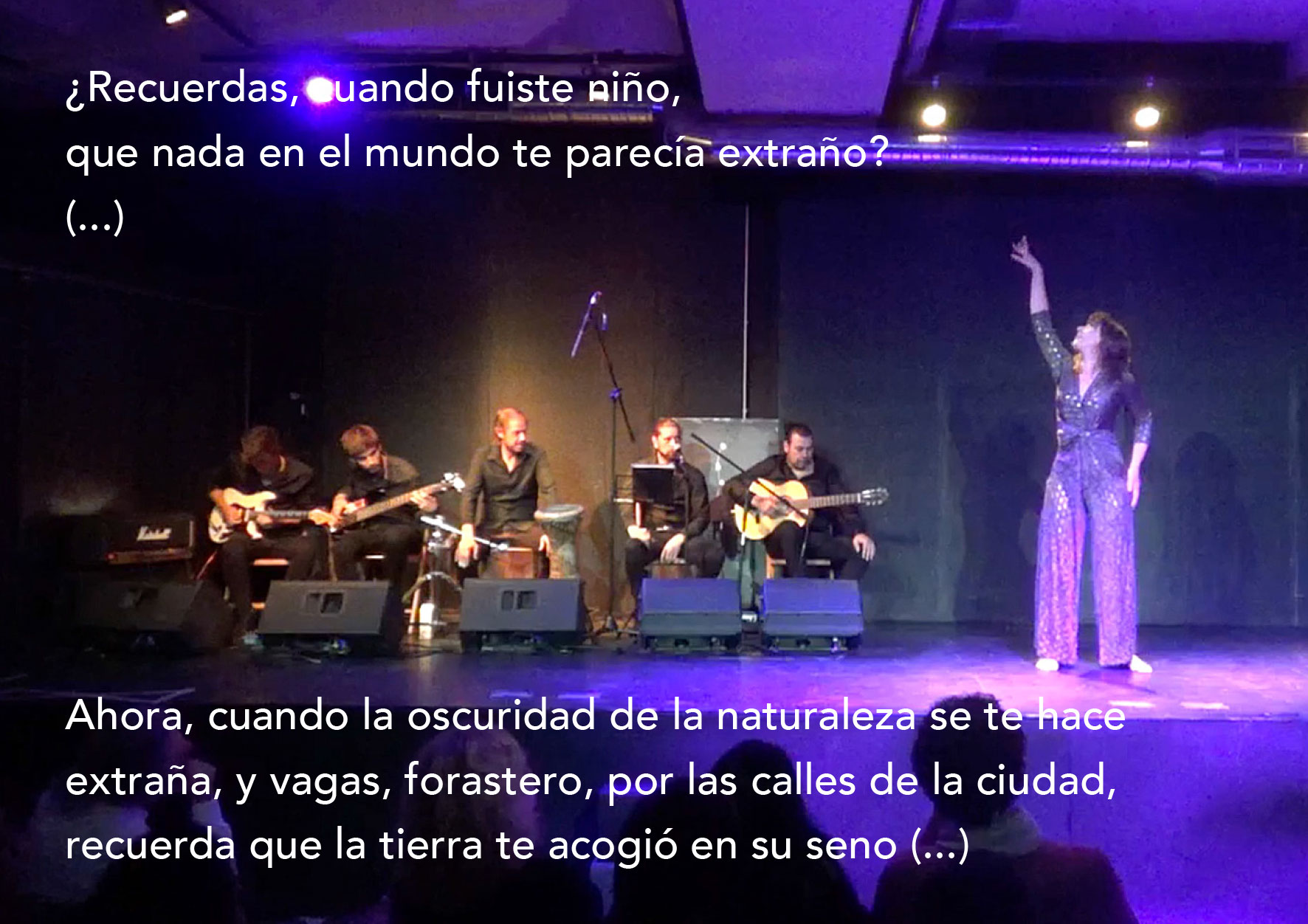 gea-galeria-2