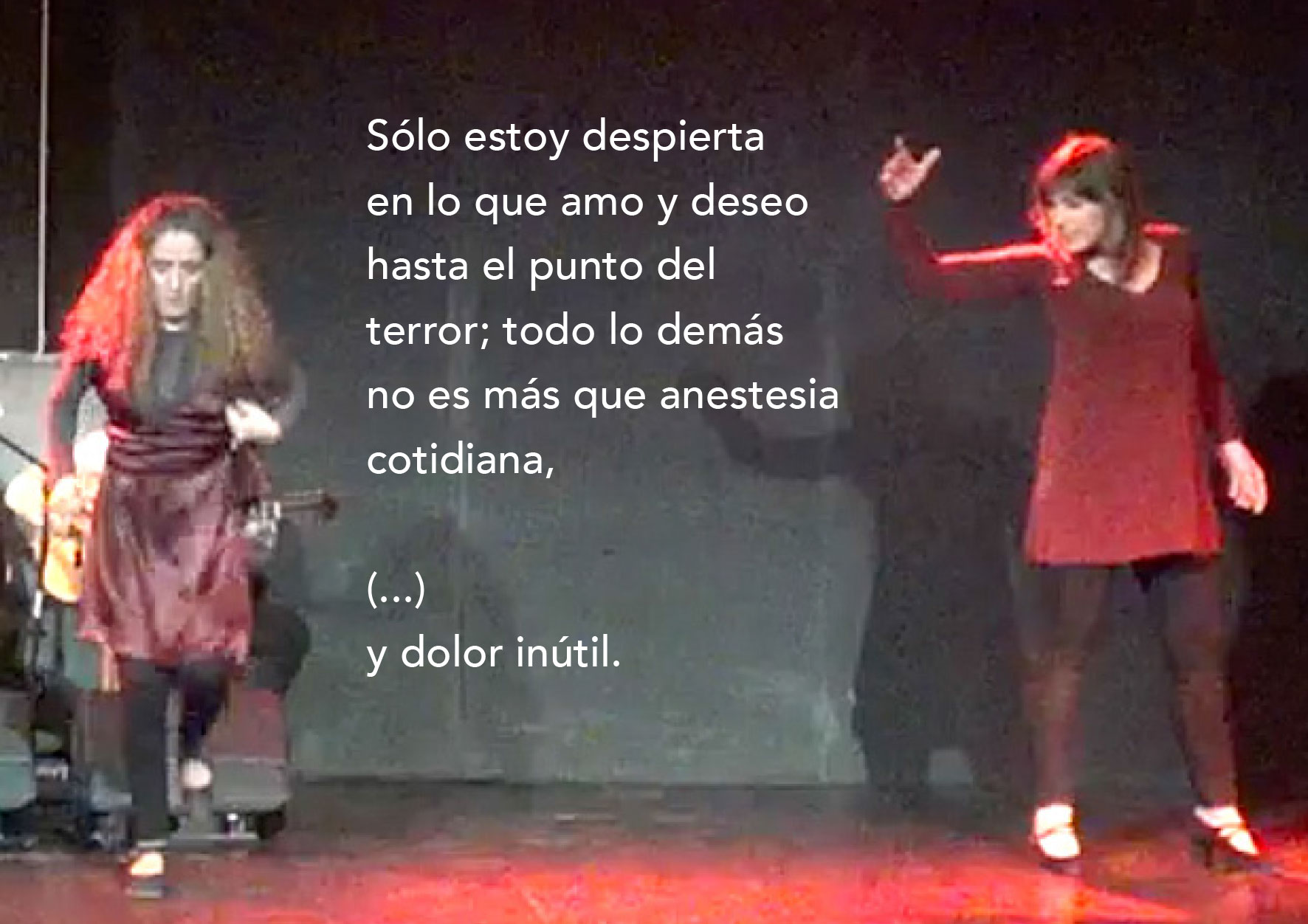 gea-galeria-29
