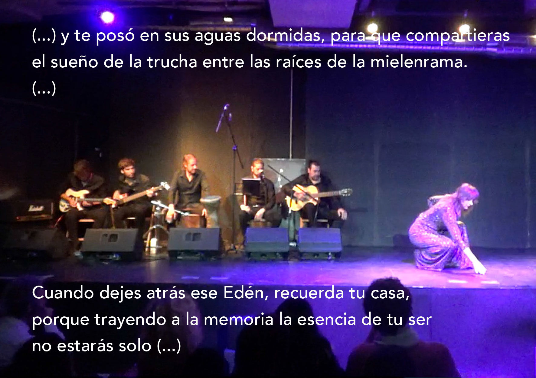 gea-galeria-3