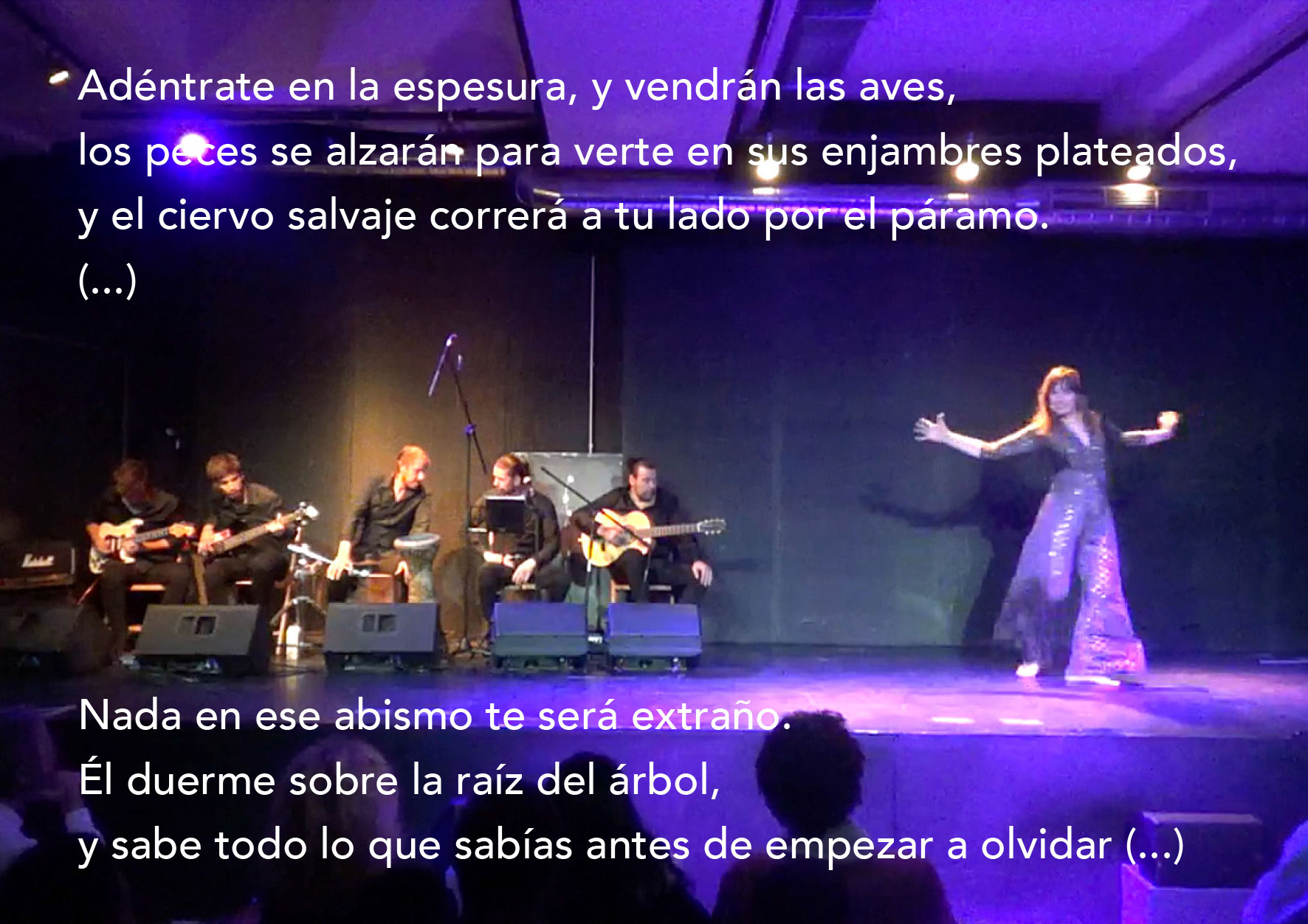 gea-galeria-4
