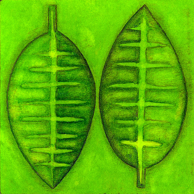 Dibujo de dos hojas de árbol colocadas en simetría, tonos verdes sobre fondo verde.